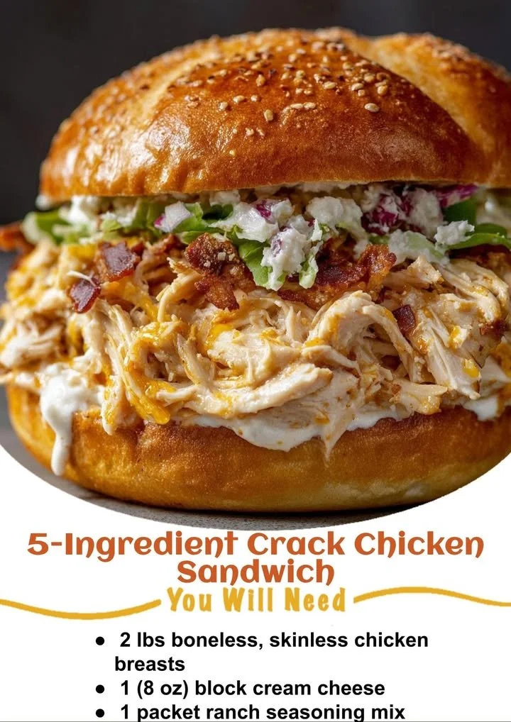 Delicious 5-Ingredient Crack Chicken Sandwich ready to be served